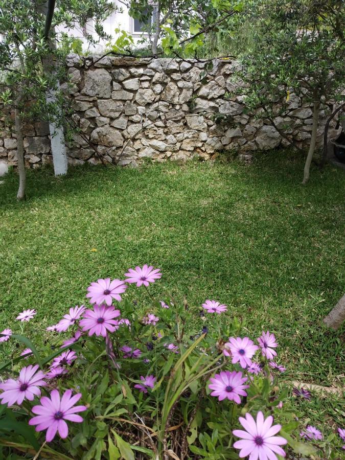 Altin Skrapari Guesthouse Ksamil Exterior foto