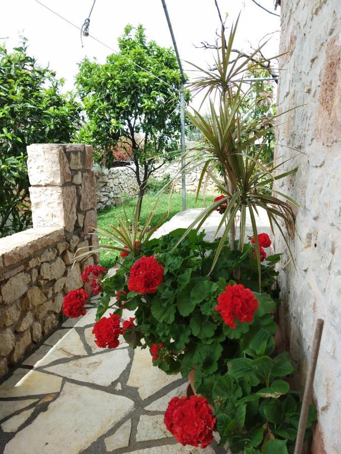 Altin Skrapari Guesthouse Ksamil Exterior foto